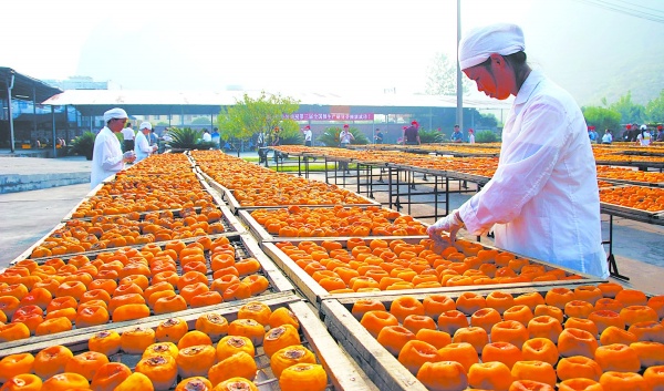 2017年農(nóng)產(chǎn)品加工財稅扶持政策大操盤，您享受到了嗎？